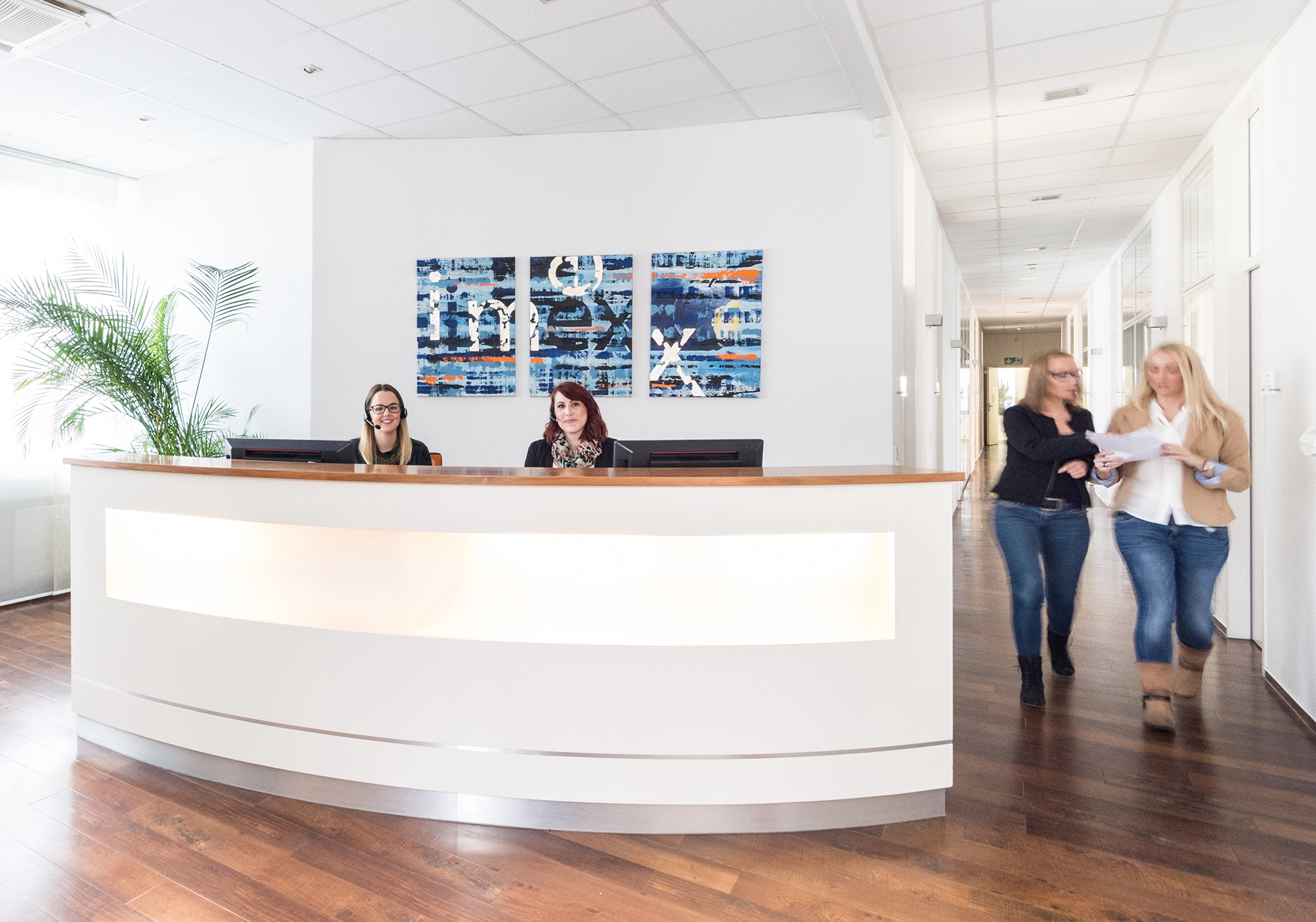 Imex Dental Und Technik Gmbh